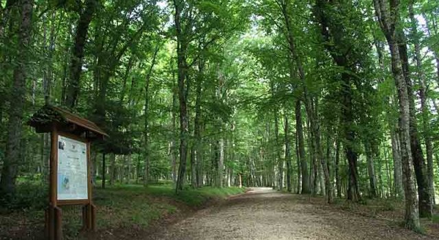 Foresta Umbra Residence Valle Verde Vieste